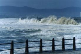 05 waves splash mllptc