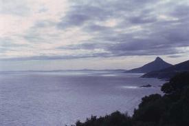 15 atlantic lions headd