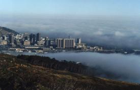 23 fog city