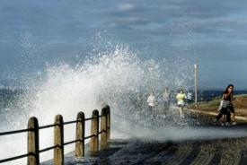 24 wave splash joggersd