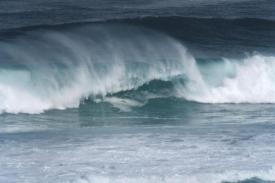 24 wave tube scrbrgh