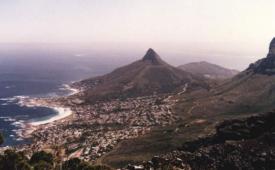 lions head camps bayc