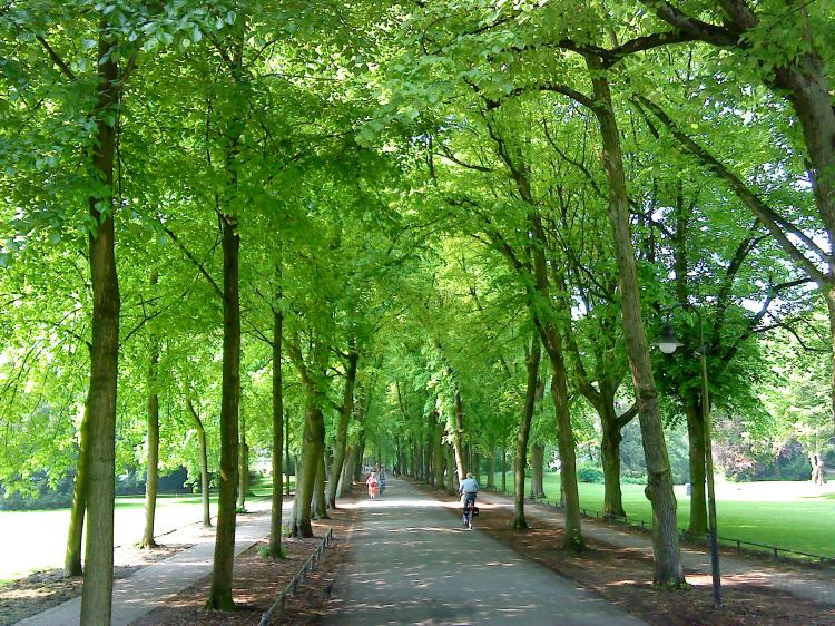 Summer 2009 - Münster