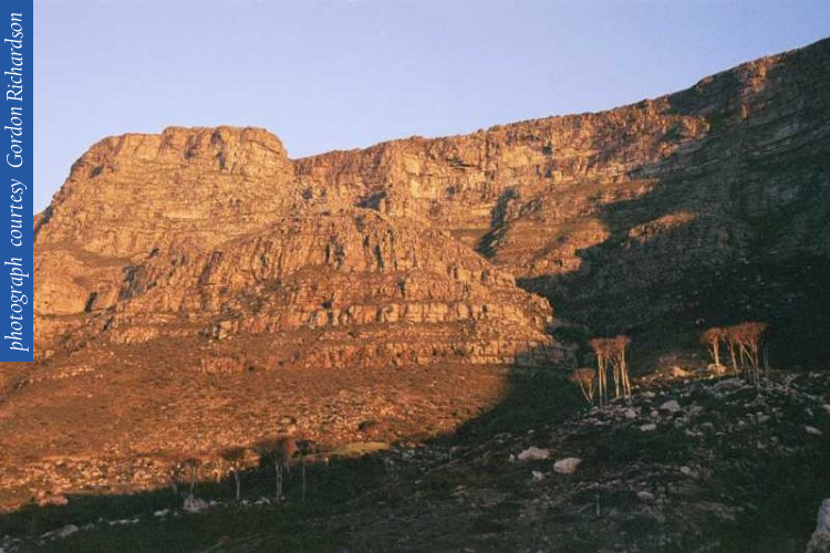 22_tablemt_buttr_duskd