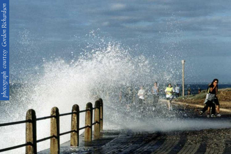 24_wave_splash_joggersd