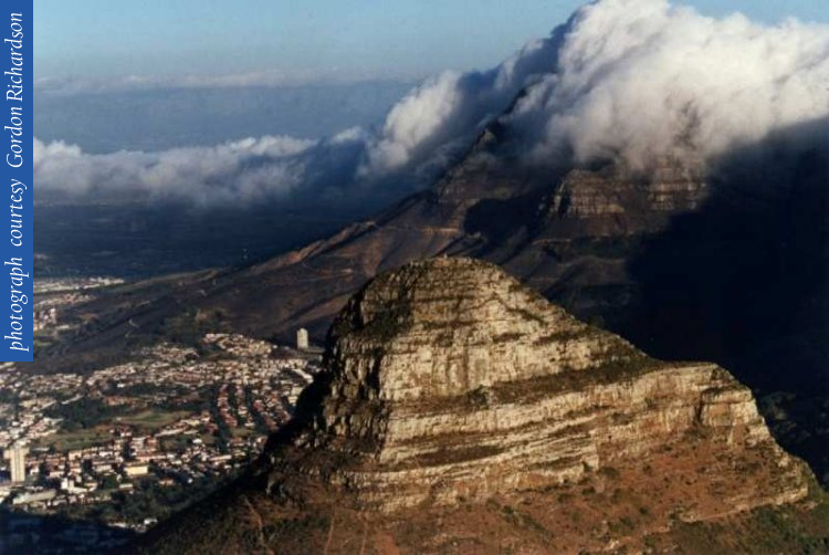 lions_head_tablecloth_dp_aerialc