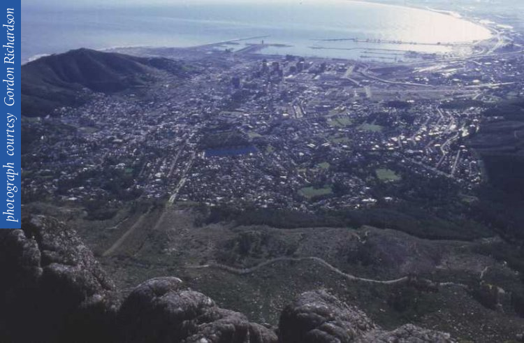 view_city_bowl_tm_topd