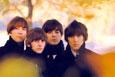 Buy The Beatles at AllPosters.com